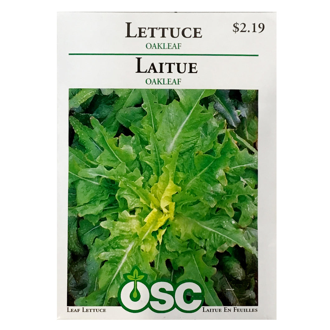 Lettuce - Oakleaf Seeds, OSC