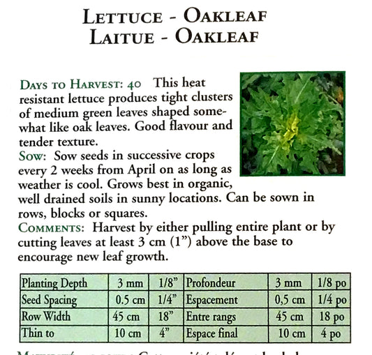 Lettuce - Oakleaf Seeds, OSC