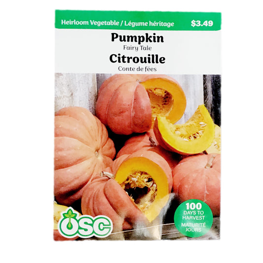 Pumpkin - Fairytale Seeds, OSC