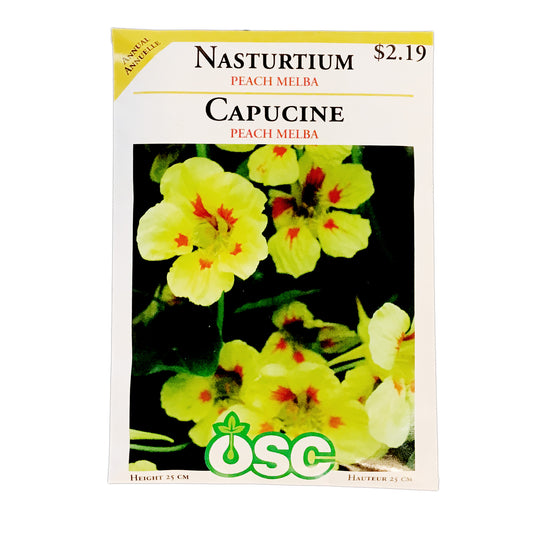 Nasturtium - Peach Melba Seeds, OSC