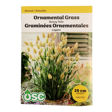Load image into Gallery viewer, Ornamental Grass - Bunny's Tail Seeds, OSC
