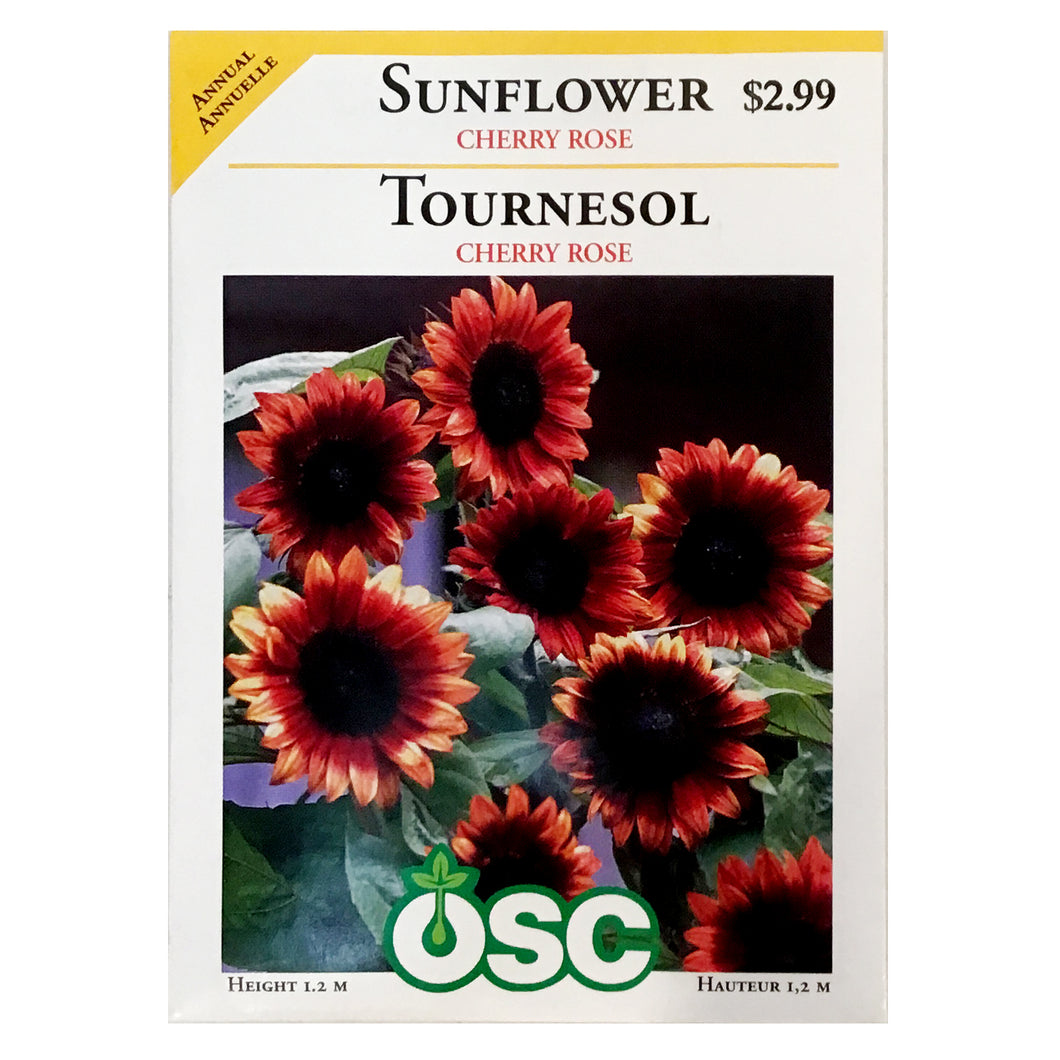 Sunflower - Cherry Rose Seeds, OSC