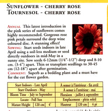 Load image into Gallery viewer, Sunflower - Cherry Rose Seeds, OSC
