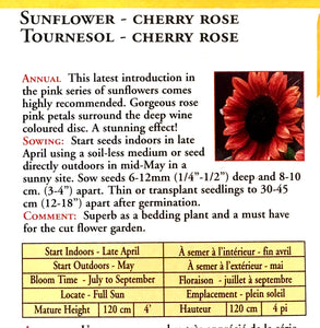 Sunflower - Cherry Rose Seeds, OSC