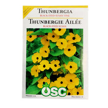 Load image into Gallery viewer, Thunbergia - Black Eyed Susan Vine Seeds, OSC
