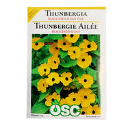 Thunbergia - Black Eyed Susan Vine Seeds, OSC