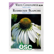 Echinacea - White Swan Coneflower Seeds, OSC