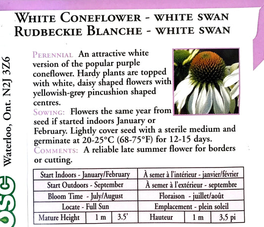 Echinacea - White Swan Coneflower Seeds, OSC