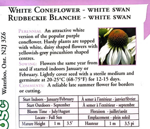 Echinacea - White Swan Coneflower Seeds, OSC