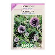 Echinops - Globe Thistle Seeds, OSC