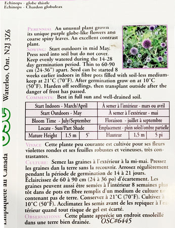 Echinops - Globe Thistle Seeds, OSC