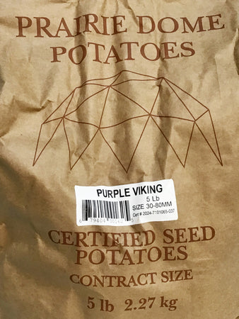 Seed Potato - Purple Viking, 5lb Bag