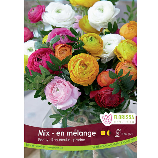 Ranunculus - Peony Mix Bulbs, 10 Pack
