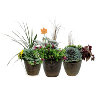 Fall Planter, 12in, Assorted