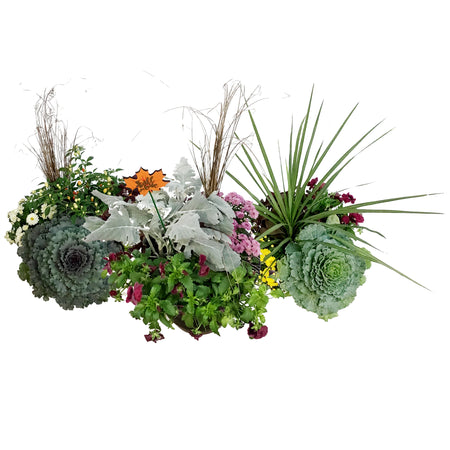 Fall Planter, 12in, Assorted