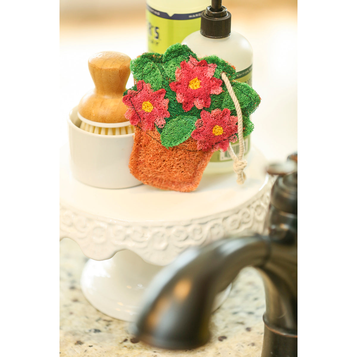 Reuseit Scrubber, Garden Icons, 6 Assorted