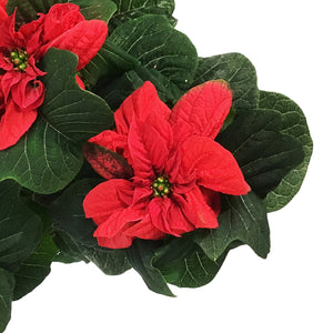 Poinsettia, 6in, Winter Rose® Red