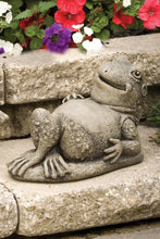 Load image into Gallery viewer, Henry the Frog Statue, 11.5in
