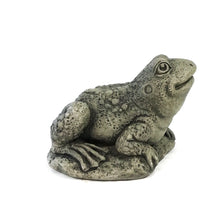 Load image into Gallery viewer, Harry the Frog Statue, 9.75in
