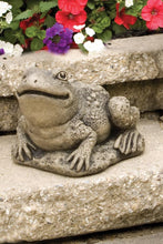 Load image into Gallery viewer, Harry the Frog Statue, 9.75in
