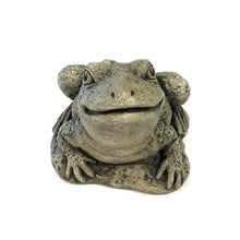 Load image into Gallery viewer, Harry the Frog Statue, 9.75in
