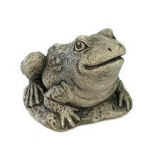 Load image into Gallery viewer, Harry the Frog Statue, 9.75in
