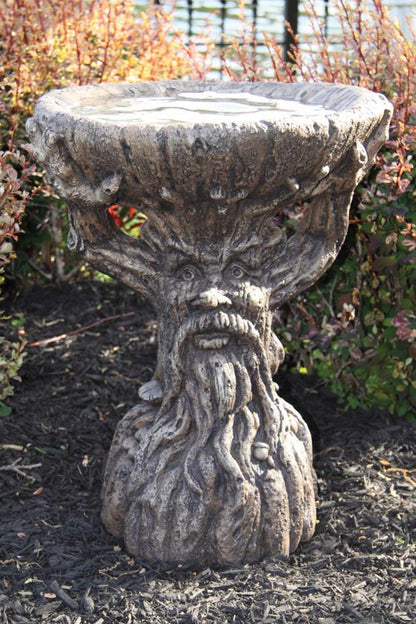 Old Sap Tree One Piece Bird Bath, 16.5in