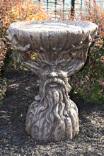 Load image into Gallery viewer, Old Sap Tree One Piece Bird Bath, 16.5in
