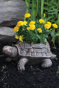 Patio Turtle Cement Planter, 17in