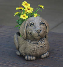 Load image into Gallery viewer, Waffles the Puppy Cement Planter, 11in
