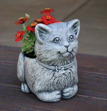 Load image into Gallery viewer, Mittens the Kitten Cement Planter, 10in
