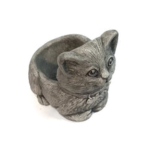 Load image into Gallery viewer, Mittens the Kitten Cement Planter, 10in
