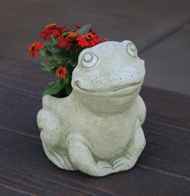 Load image into Gallery viewer, Ribbit the Frog Cement Planter, 10in
