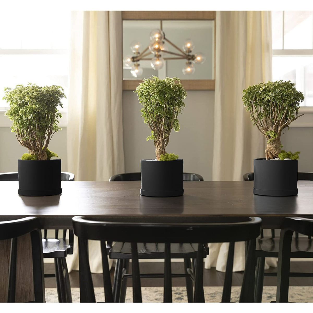 Planter, 6in, Mathers with Saucer, Black