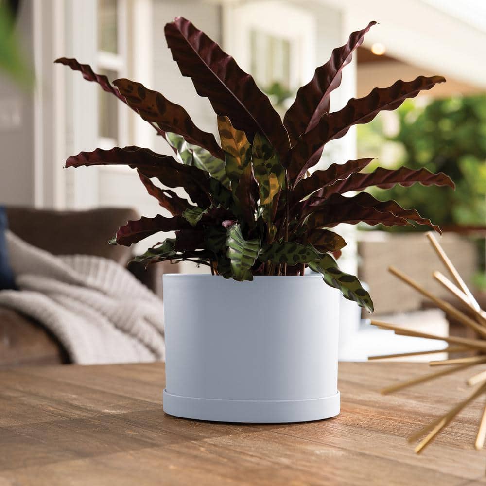 Planter, 6in, Mathers with Saucer, Misty Blue