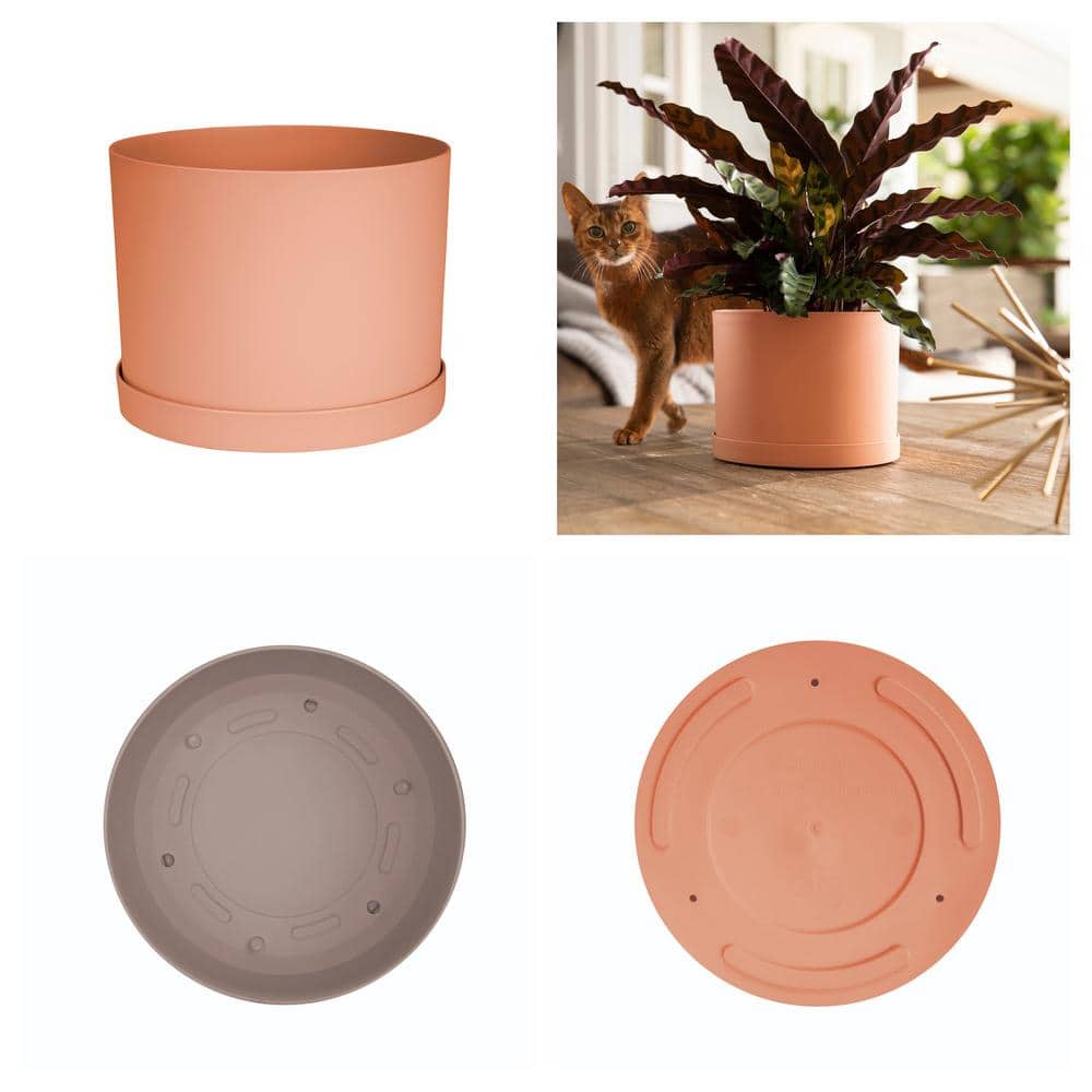 Planter, 6in, Mathers with Saucer, Muted TCotta