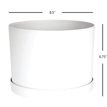 Planter, 8in, Mathers with Saucer, White
