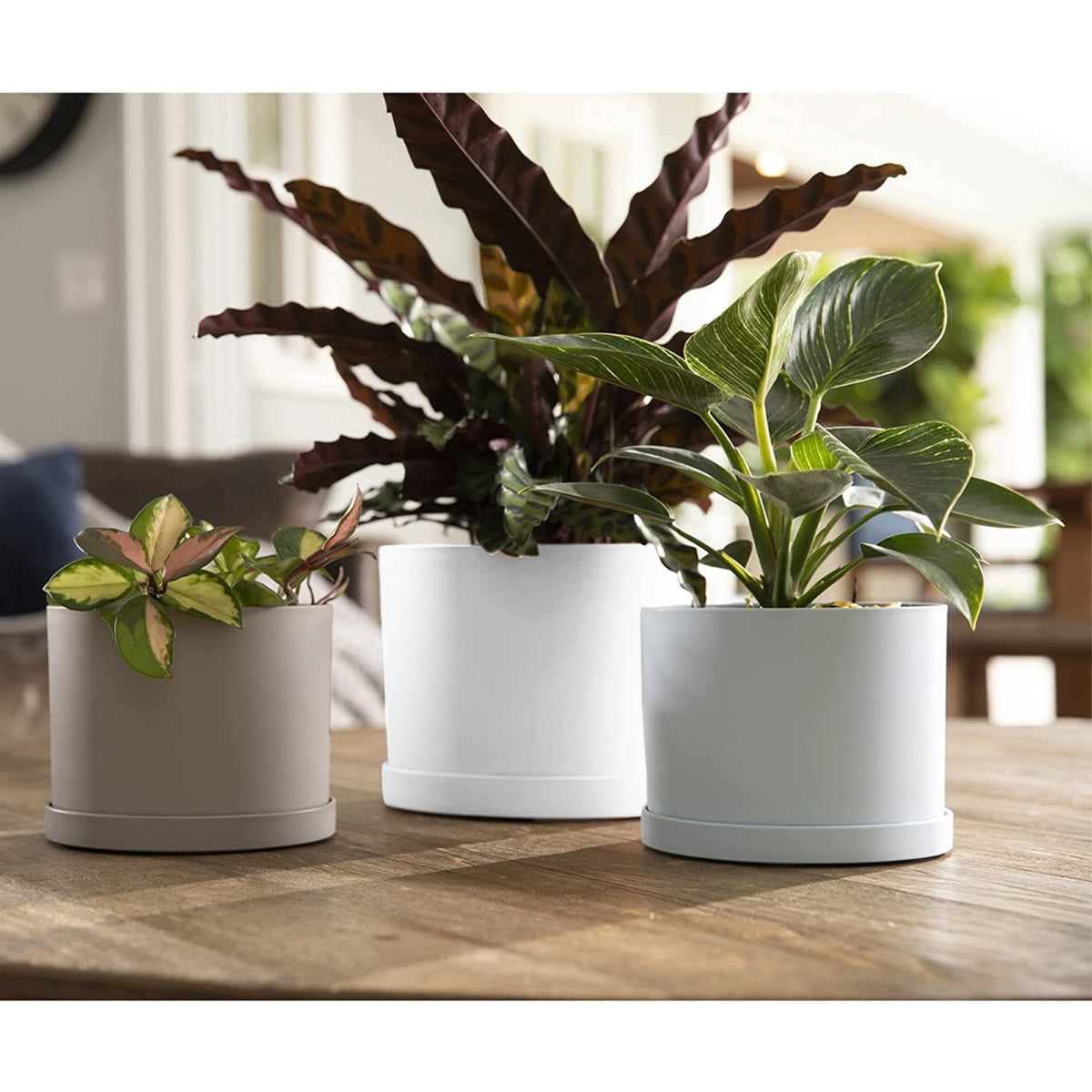 Planter, 8in, Mathers with Saucer, White