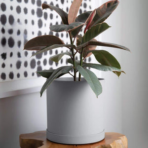 Planter, 10in, Mathers with Saucer, Cement