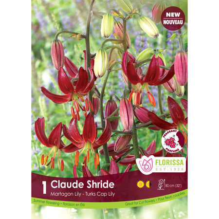 Lily, Martagon - Claude Shride Bulb, 1 Pack