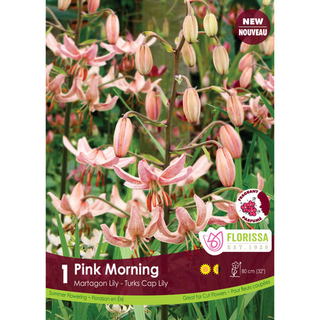 Lily, Martagon -Pink Morning Bulb, 1 Pack