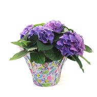 Hydrangea, 6in, HI™ River Blue w/ Easter Pot Cover