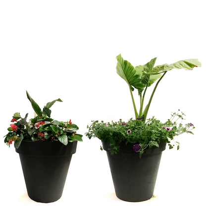 Planter, 24in, Spring Combo, Assorted