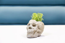 Load image into Gallery viewer, Small Cracked Skull Cement Planter
