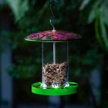 Load image into Gallery viewer, Glass Solar Bird Feeder, Floral w/ Green Base
