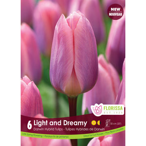 Tulip, Darwin - Light & Dreamy Bulbs, 6 Pack