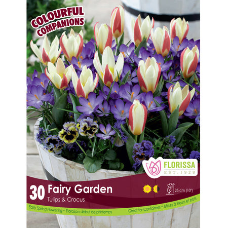 Colourful Companions - Fairy Garden Bulbs, 30 Pk