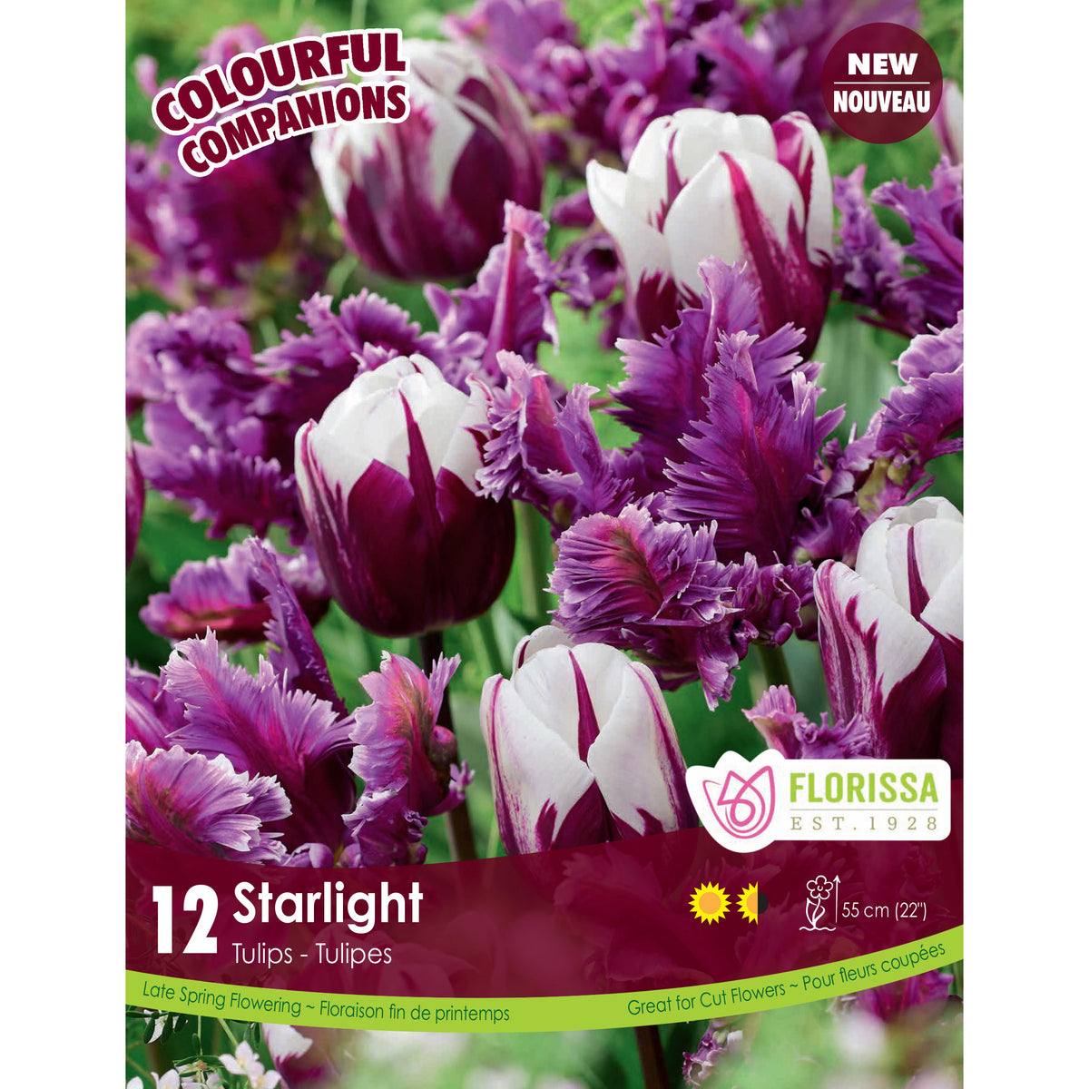 Colourful Companions - Starlight Bulbs, 12 Pk