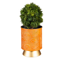 Load image into Gallery viewer, Planter, 7in, Metal with Gold Base, Orange
