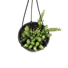 Load image into Gallery viewer, Crassula, 6in HB, Rupestris Jade Necklace
